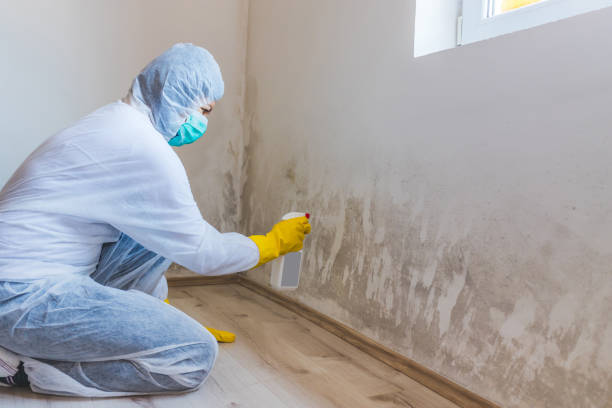 Licensed Commercial Mold Remediation service in Spring Lake, NC - WQB Mold Removal