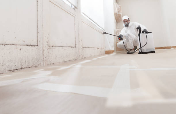 24/7 Emergency Commercial Mold Remediation experts in Spring Lake, NC