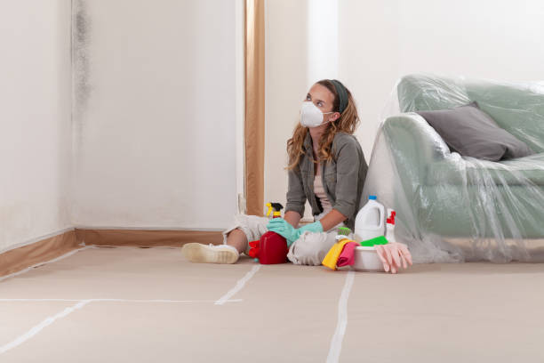 Reliable Commercial Mold Remediation contractor in Spring Lake, NC by WQB Mold Removal