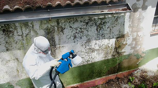 Top rated local Commercial Mold Remediation specialists in Spring Lake, NC
